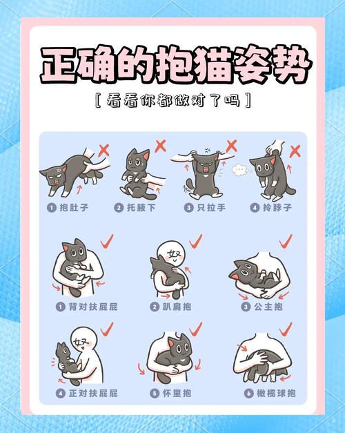 怎么向猫表示友好