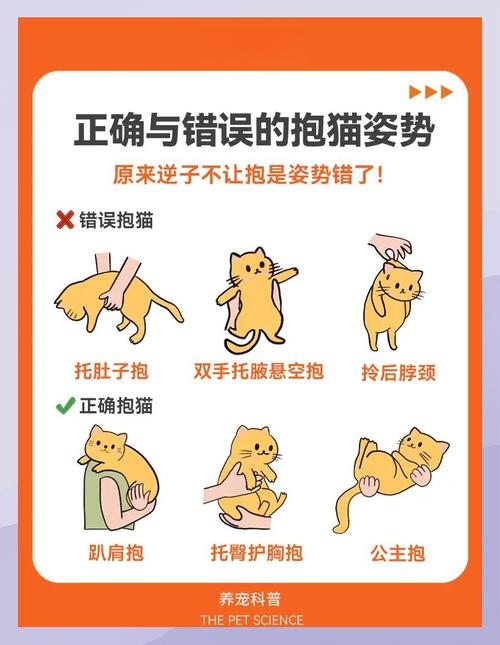 怎样建立起与猫咪的亲密关系?