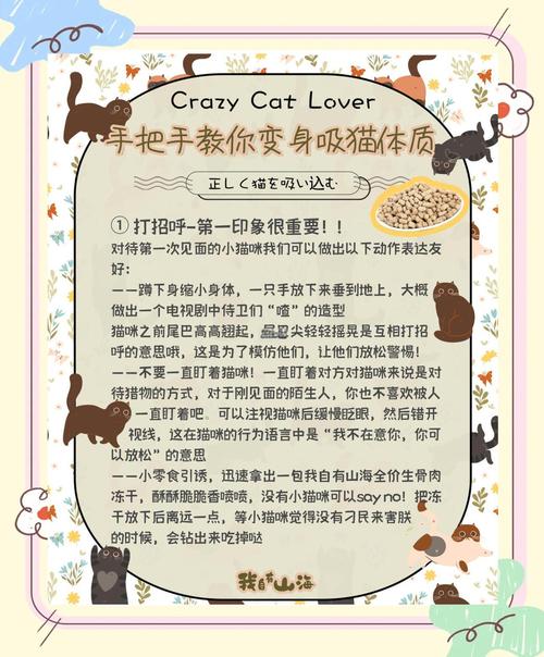 人如何向猫咪表示友好