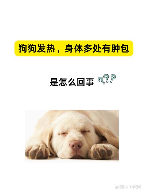 狗狗肚子热是发烧吗