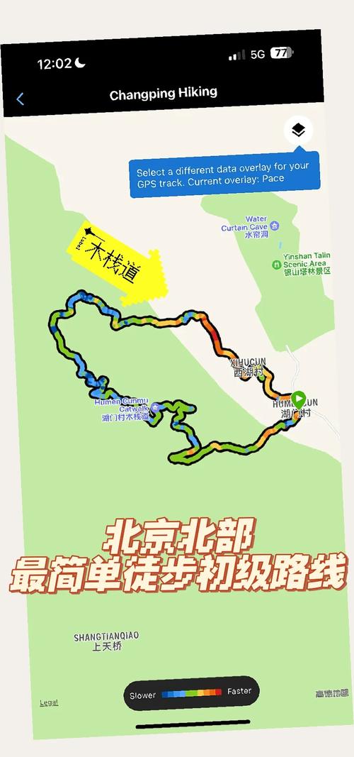 带狗自驾游需要准备什么