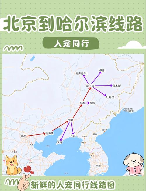 带狗狗自驾游需要注意什么