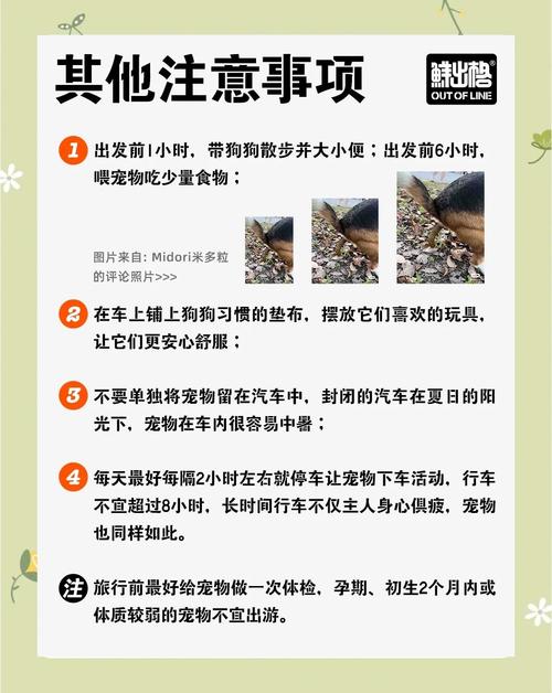...两三个小时比较多五个小时的自驾游路线可以带狗狗的