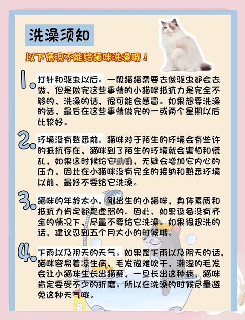 猫驱虫后多久可以洗澡