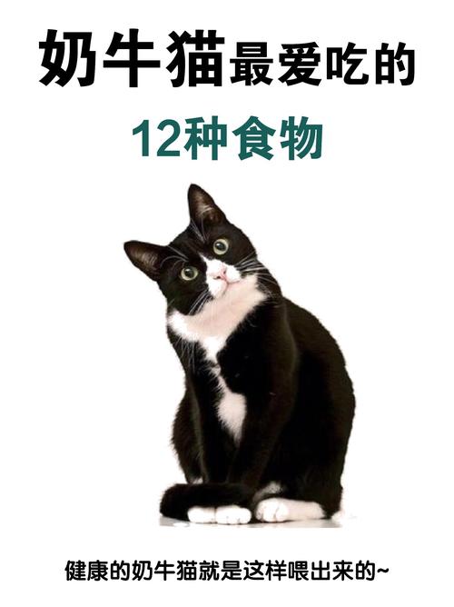 猫咪为什么吃牛肝脏