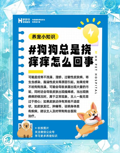 狗狗止痒方法小妙招