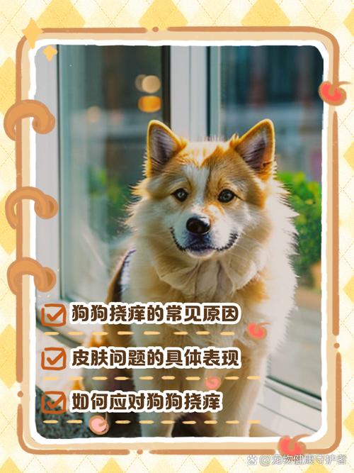 为什么狗狗晚上老是挠痒