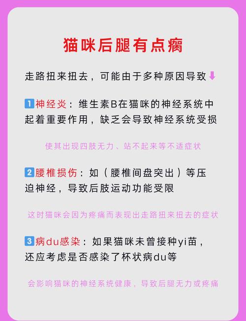 猫咪后腿使不上劲怎么回事