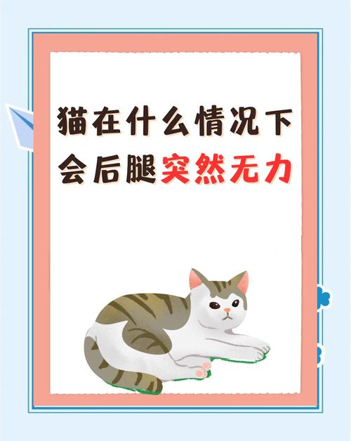 猫猫突然后腿没劲,走路摇晃,老摔倒,前爪也没力气,老是搭在头上,_百度...