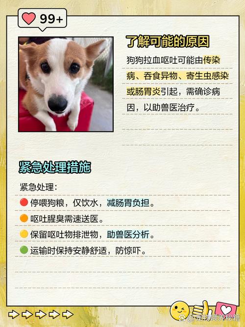 狗狗出现吐血拉血怎么回事