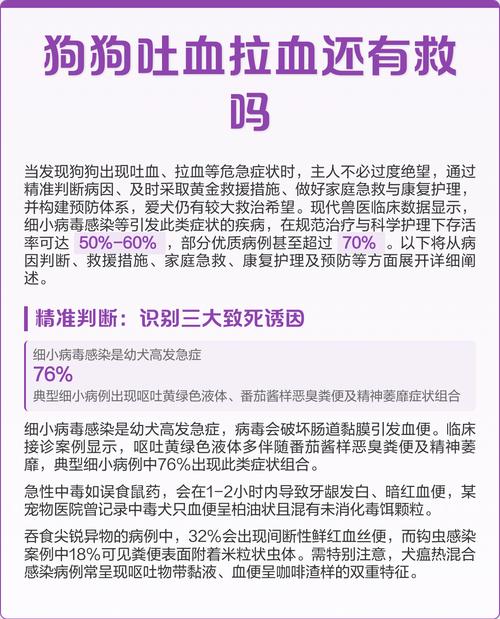 狗呕吐拉血是怎么回事呢