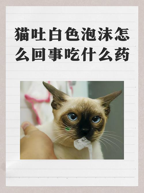 猫感冒有什么症状,嘴里会吐泡吗