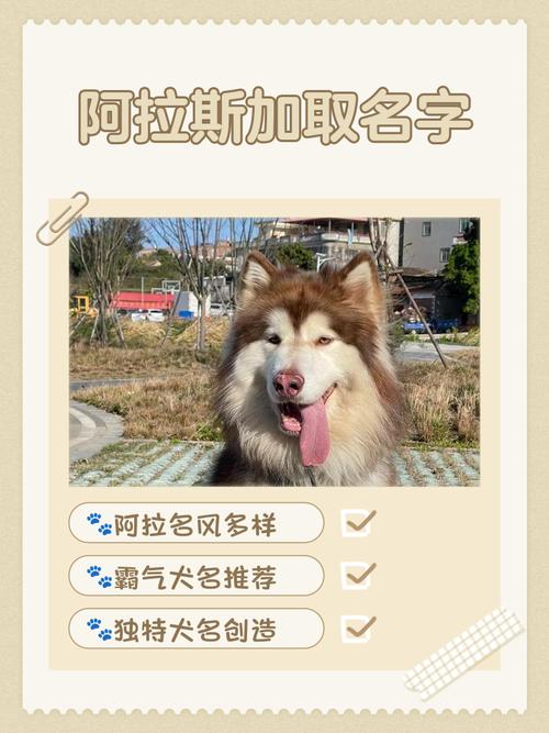 阿拉斯加起名大全洋气