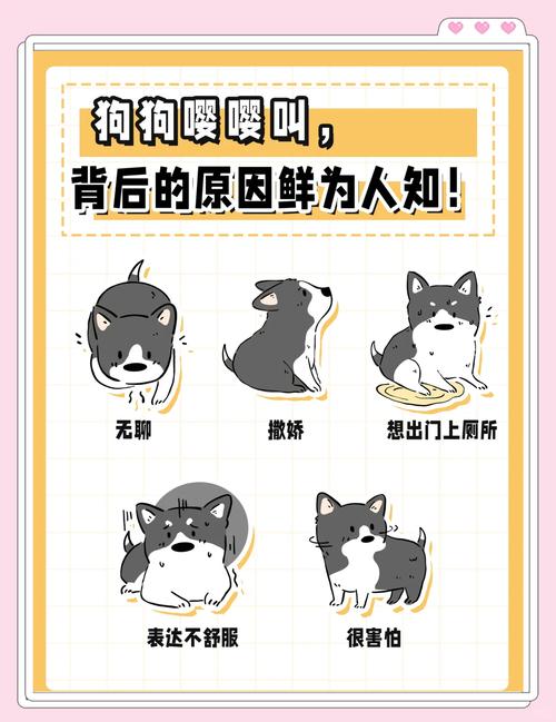 狗狗发出委屈的嘤嘤声是什么原因?