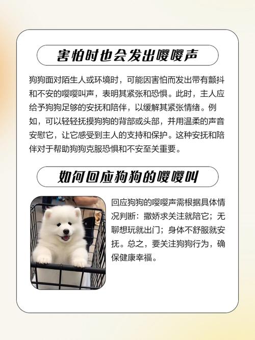 狗狗见面嘤嘤叫是为什么