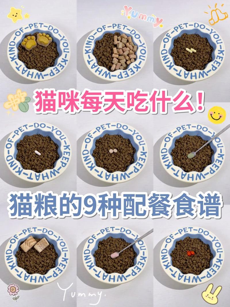 家猫怎么养才胖