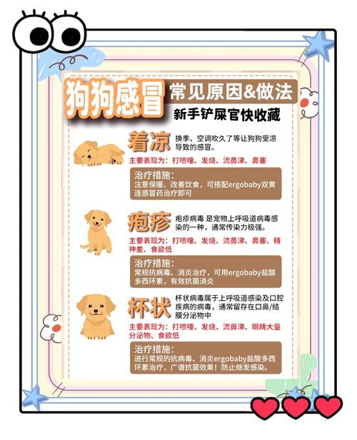 猫跟狗感冒互相传染吗