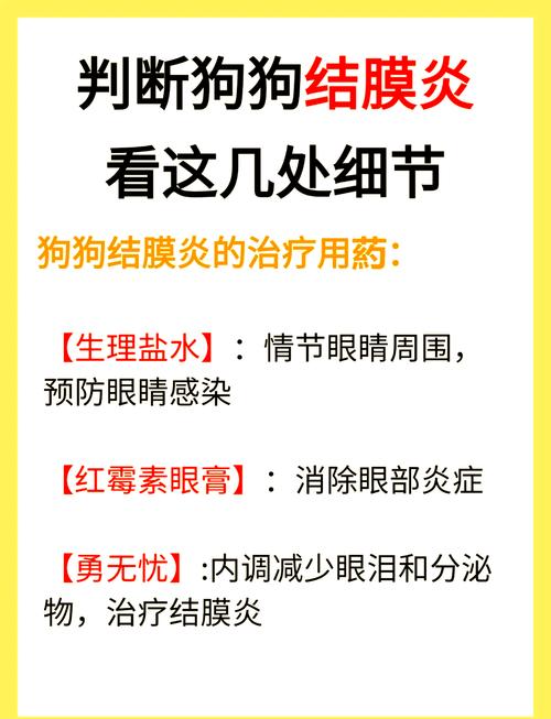狗狗结膜炎症状及治疗