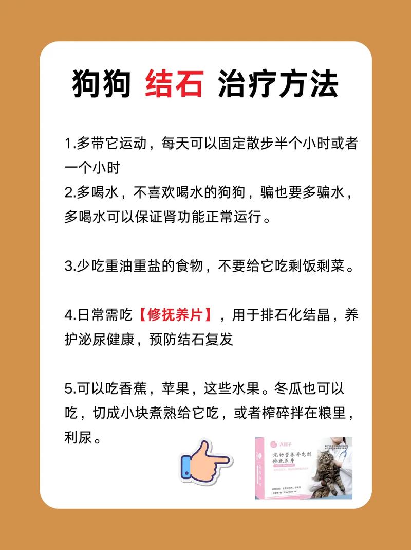 什么是犬的尿路结石?狗狗得了尿结石怎么办