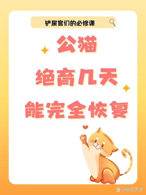 公猫绝育几天能完全恢复?