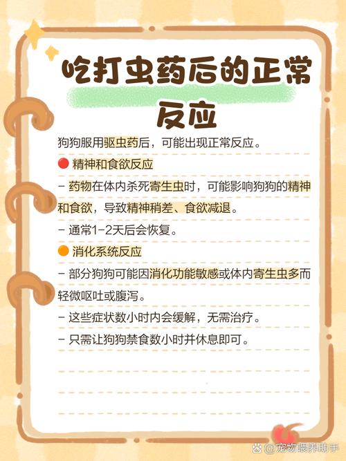 狗狗吃完驱虫药的反应