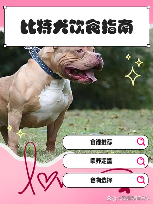 狗狗可以吃面条吗