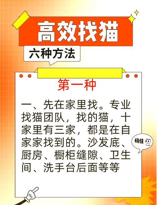 猫走丢了怎么找回来土方法