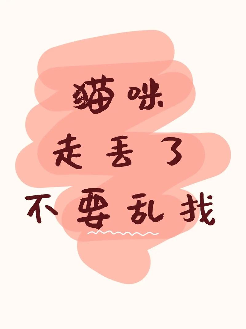 丢了猫千万别找为什么