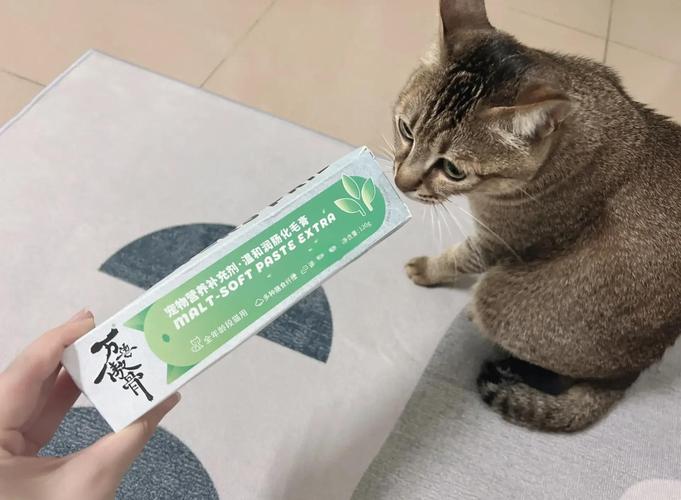 猫咪几个月开始喂化毛膏合适