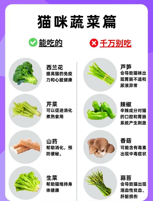猫肠胃不好时能不能吃青菜