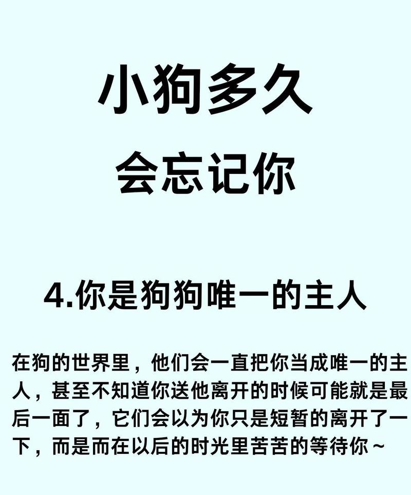 狗狗的记忆力有多久呢?是否常说的“狗记性”?