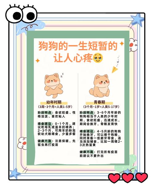 狗狗对主人的记忆有多久?