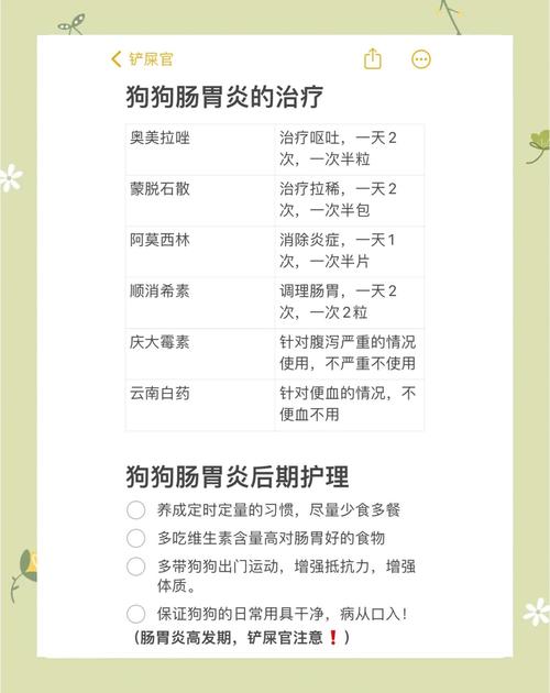 狗狗急性肠胃炎吃什么药?