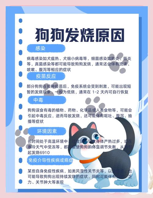 狗狗发烧小妙招