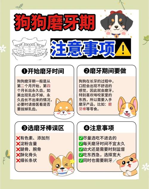 一个月大的小狗可以用磨牙棒吗