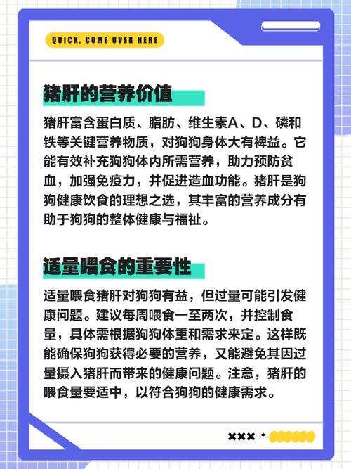 狗狗吃猪肝有什么好处