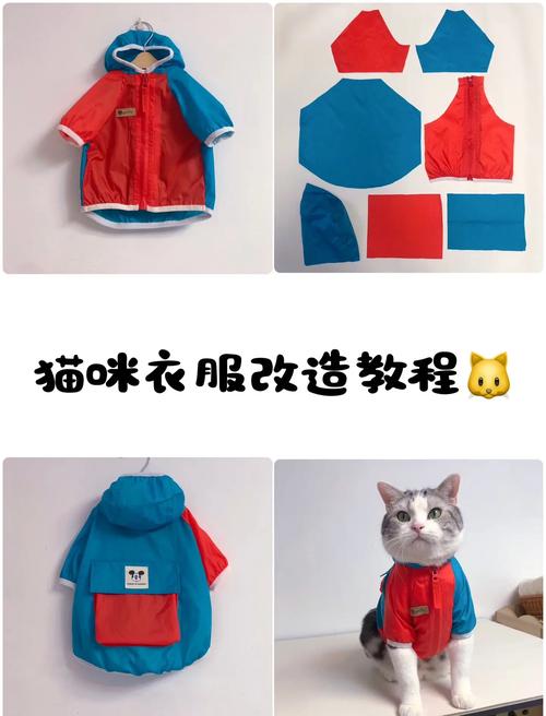 怎样自己给猫做衣服