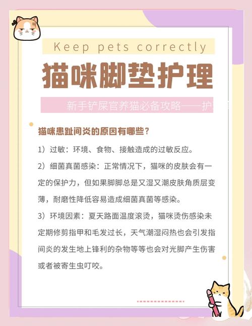 猫咪足部护理有什么妙招