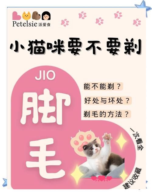 猫咪的脚毛需要修剪吗