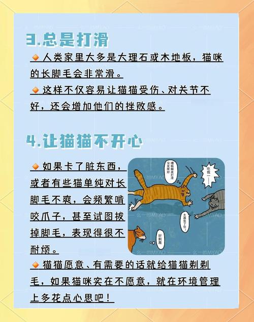 猫咪的脚毛需要定期修剪