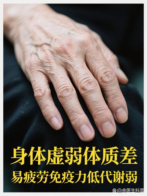 猫胎盘没出来怎么办