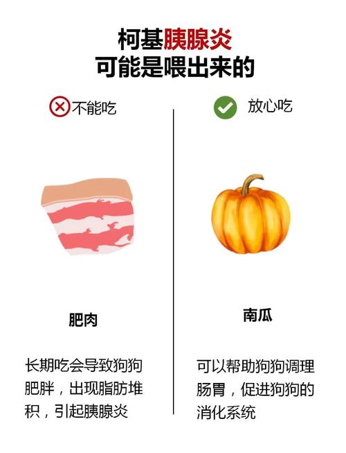 狗为什么不能吃猪肉