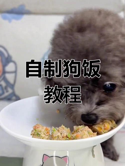 为什么不建议狗狗吃猪瘦肉呢
