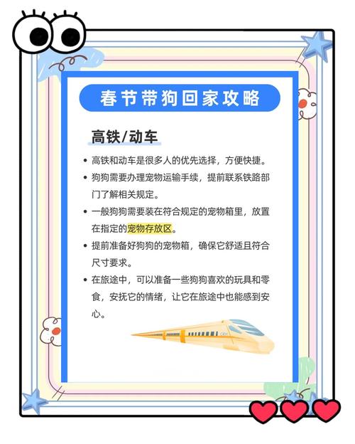 无车一族怎么带狗出行