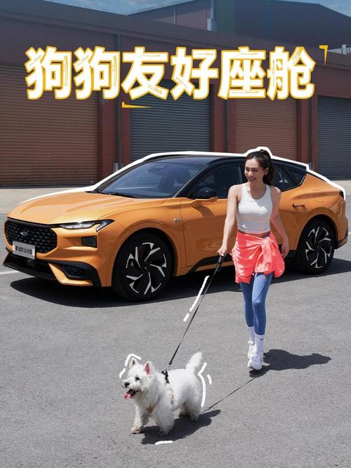 把狗狗放在宠物包里可不可以上公交?