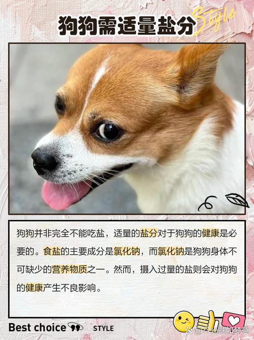 为什么狗狗不可以吃盐和糖