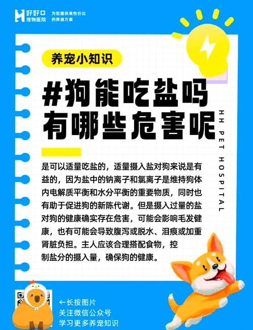 狗为什么不能吃盐和油