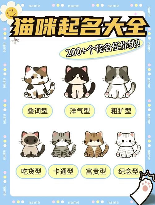 猫咪英文名有寓意的