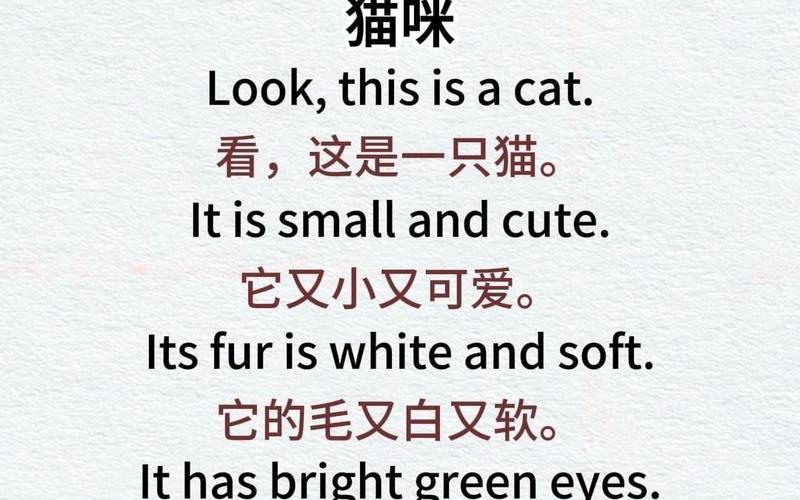 独一无二的猫咪名字英文名