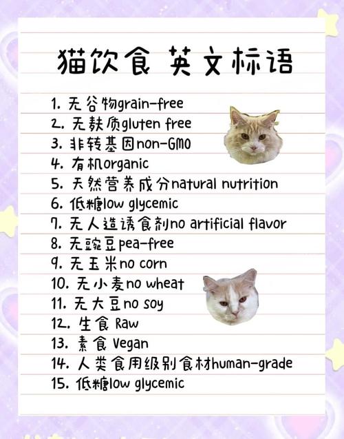 猫咪英文名字大全洋气